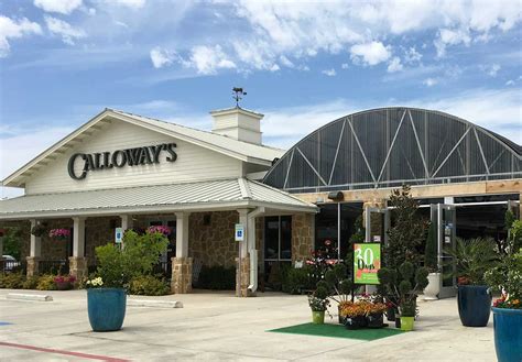 Calloway nursery - Calloway's Nursery - Southlake, Southlake, Texas. 572 likes · 7 talking about this · 416 were here. Keep up with all we have to offer at our stores by clicking “LIKE” on our official Calloway’s...